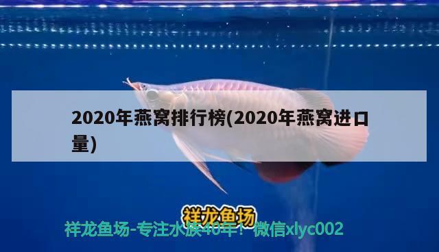 2020年燕窝排行榜(2020年燕窝进口量)