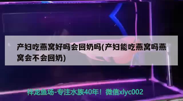 产妇吃燕窝好吗会回奶吗(产妇能吃燕窝吗燕窝会不会回奶) 马来西亚燕窝