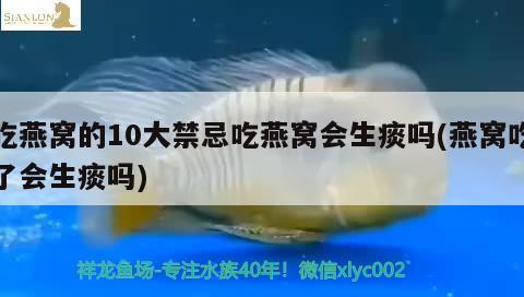 吃燕窝的10大禁忌吃燕窝会生痰吗(燕窝吃了会生痰吗)