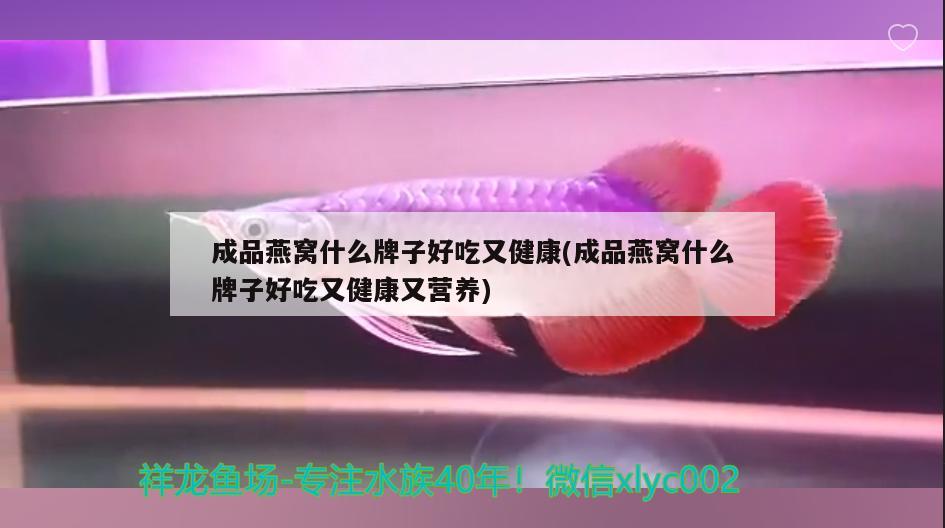 成品燕窝什么牌子好吃又健康(成品燕窝什么牌子好吃又健康又营养)