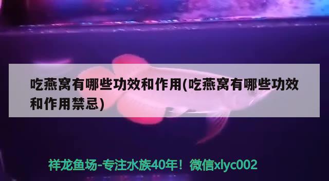 吃燕窝有哪些功效和作用(吃燕窝有哪些功效和作用禁忌) 马来西亚燕窝