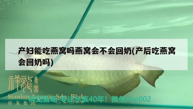 产妇能吃燕窝吗燕窝会不会回奶(产后吃燕窝会回奶吗) 马来西亚燕窝