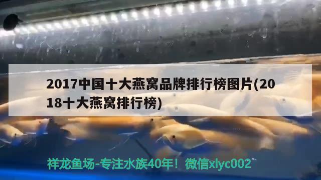 2017中国十大燕窝品牌排行榜图片(2018十大燕窝排行榜) 马来西亚燕窝