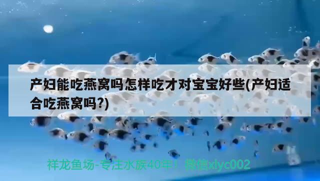 产妇能吃燕窝吗怎样吃才对宝宝好些(产妇适合吃燕窝吗?) 马来西亚燕窝