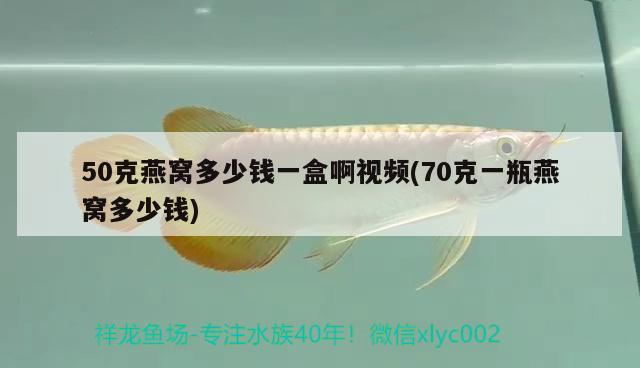 50克燕窝多少钱一盒啊视频(70克一瓶燕窝多少钱) 马来西亚燕窝 第2张