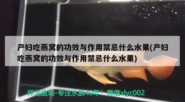 产妇吃燕窝的功效与作用禁忌什么水果(产妇吃燕窝的功效与作用禁忌什么水果)