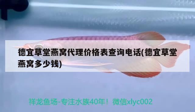 德宜草堂燕窝代理价格表查询电话(德宜草堂燕窝多少钱) 马来西亚燕窝