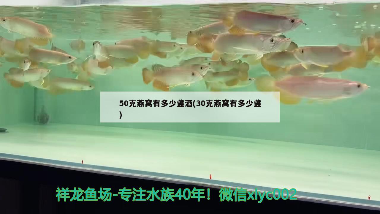 50克燕窝有多少盏酒(30克燕窝有多少盏)