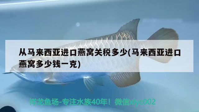 从马来西亚进口燕窝关税多少(马来西亚进口燕窝多少钱一克)