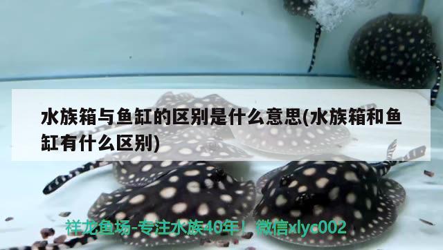 水族箱与鱼缸的区别是什么意思(水族箱和鱼缸有什么区别)