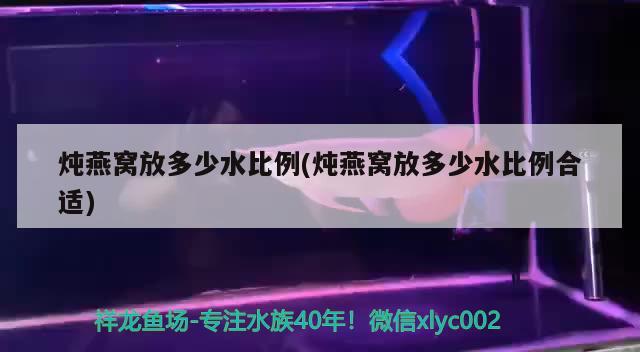 炖燕窝放多少水比例(炖燕窝放多少水比例合适) 马来西亚燕窝