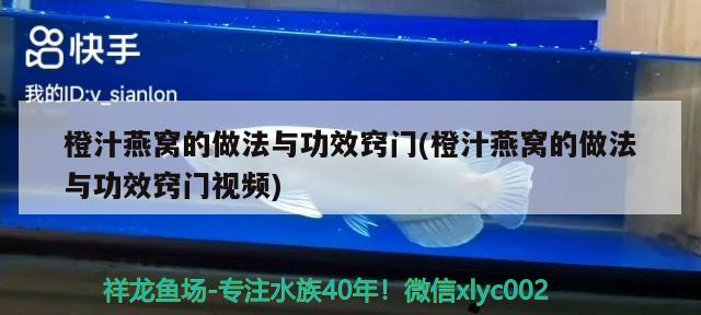 橙汁燕窝的做法与功效窍门(橙汁燕窝的做法与功效窍门视频) 马来西亚燕窝 第3张