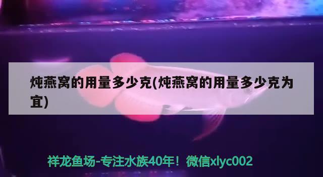 炖燕窝的用量多少克(炖燕窝的用量多少克为宜) 马来西亚燕窝