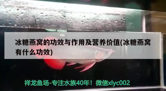 冰糖燕窝的功效与作用及营养价值(冰糖燕窝有什么功效) 马来西亚燕窝