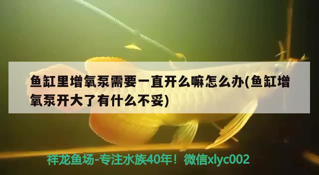 鱼缸里增氧泵需要一直开么嘛怎么办(鱼缸增氧泵开大了有什么不妥)