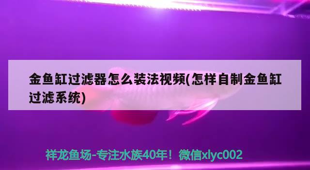 金鱼缸过滤器怎么装法视频(怎样自制金鱼缸过滤系统) 水族杂谈