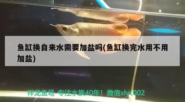 鱼缸换自来水需要加盐吗(鱼缸换完水用不用加盐) 水族杂谈