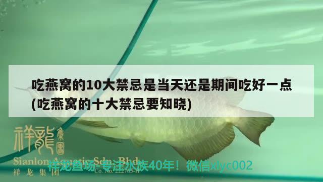 吃燕窝的10大禁忌是当天还是期间吃好一点(吃燕窝的十大禁忌要知晓)