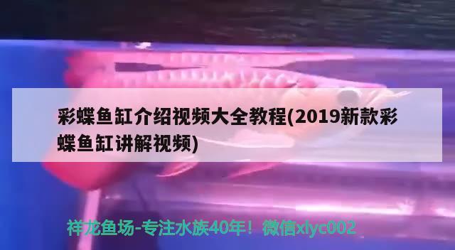 彩蝶鱼缸介绍视频大全教程(2019新款彩蝶鱼缸讲解视频)