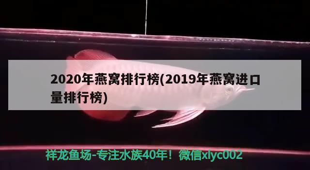 2020年燕窝排行榜(2019年燕窝进口量排行榜)