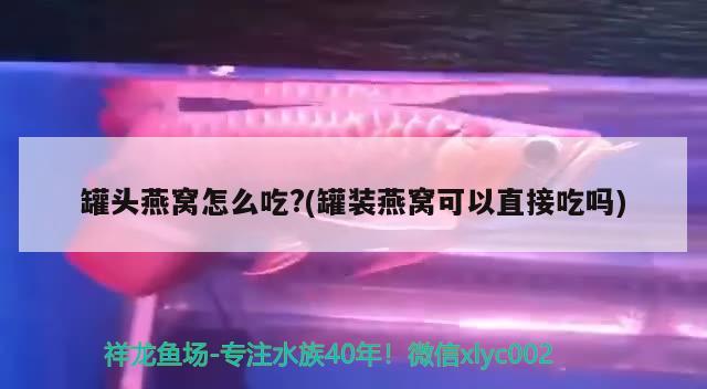 罐头燕窝怎么吃?(罐装燕窝可以直接吃吗)