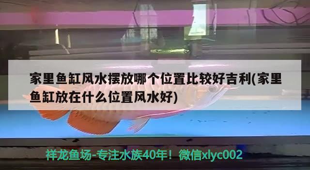 家里鱼缸风水摆放哪个位置比较好吉利(家里鱼缸放在什么位置风水好) 鱼缸风水