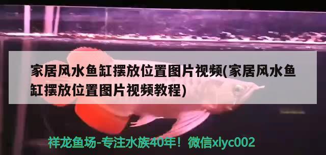 家居风水鱼缸摆放位置图片视频(家居风水鱼缸摆放位置图片视频教程) 鱼缸风水