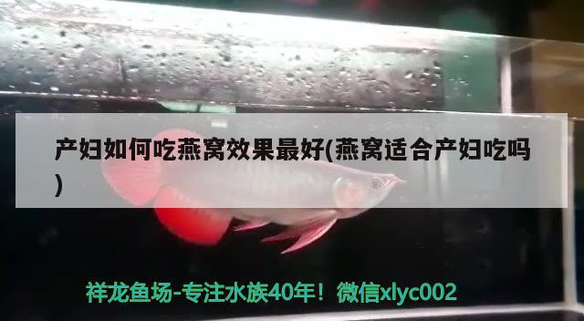 产妇如何吃燕窝效果最好(燕窝适合产妇吃吗)