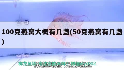 100克燕窝大概有几盏(50克燕窝有几盏) 马来西亚燕窝