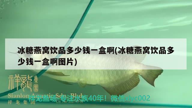 冰糖燕窝饮品多少钱一盒啊(冰糖燕窝饮品多少钱一盒啊图片)