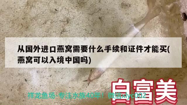 从国外进口燕窝需要什么手续和证件才能买(燕窝可以入境中国吗) 马来西亚燕窝