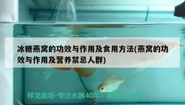 冰糖燕窝的功效与作用及食用方法(燕窝的功效与作用及营养禁忌人群) 马来西亚燕窝 第2张