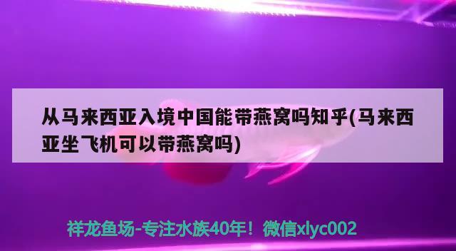 从马来西亚入境中国能带燕窝吗知乎(马来西亚坐飞机可以带燕窝吗) 马来西亚燕窝