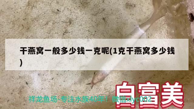 干燕窝一般多少钱一克呢(1克干燕窝多少钱) 马来西亚燕窝