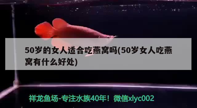 50岁的女人适合吃燕窝吗(50岁女人吃燕窝有什么好处) 马来西亚燕窝