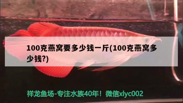 100克燕窝要多少钱一斤(100克燕窝多少钱?)