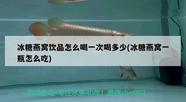 冰糖燕窝饮品怎么喝一次喝多少(冰糖燕窝一瓶怎么吃)