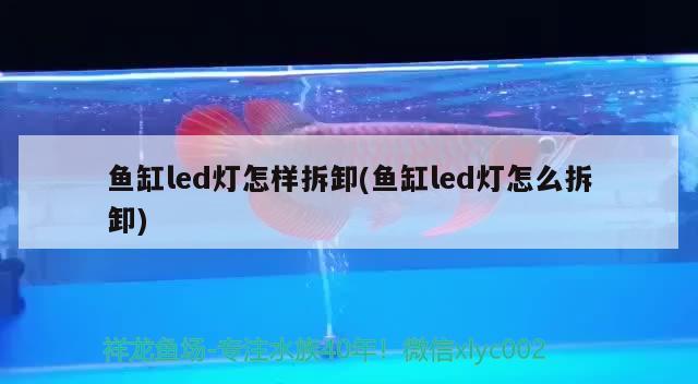 鱼缸led灯怎样拆卸(鱼缸led灯怎么拆卸)