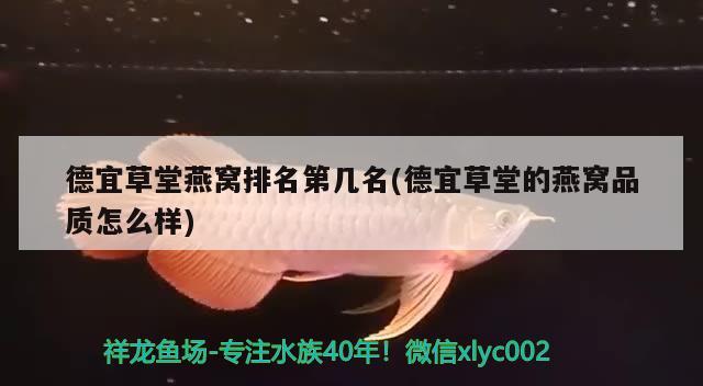 德宜草堂燕窝排名第几名(德宜草堂的燕窝品质怎么样) 马来西亚燕窝