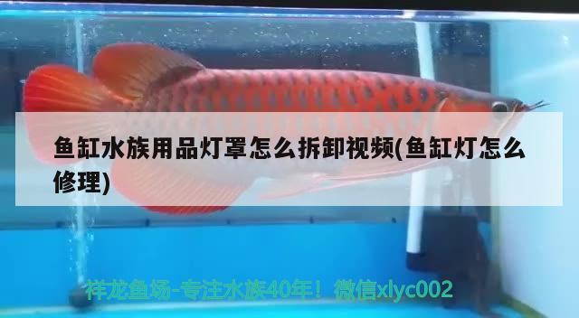 鱼缸水族用品灯罩怎么拆卸视频(鱼缸灯怎么修理)