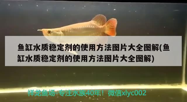 鱼缸水质稳定剂的使用方法图片大全图解(鱼缸水质稳定剂的使用方法图片大全图解)