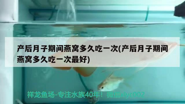 产后月子期间燕窝多久吃一次(产后月子期间燕窝多久吃一次最好) 马来西亚燕窝