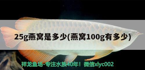 25g燕窝是多少(燕窝100g有多少)