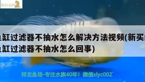 鱼缸过滤器不抽水怎么解决方法视频(新买的鱼缸过滤器不抽水怎么回事) 鱼缸风水