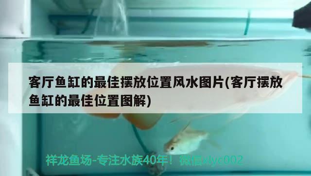 客厅鱼缸的最佳摆放位置风水图片(客厅摆放鱼缸的最佳位置图解)