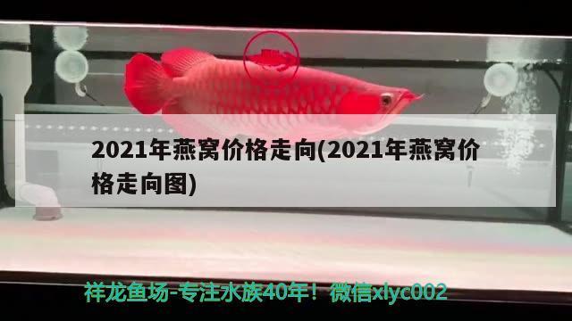 2021年燕窝价格走向(2021年燕窝价格走向图)