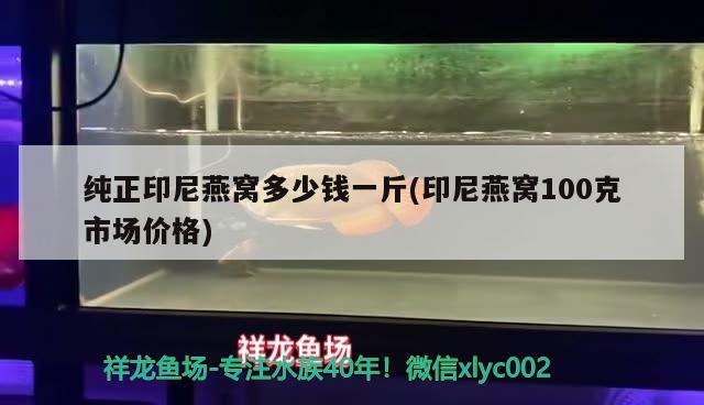 纯正印尼燕窝多少钱一斤(印尼燕窝100克市场价格)