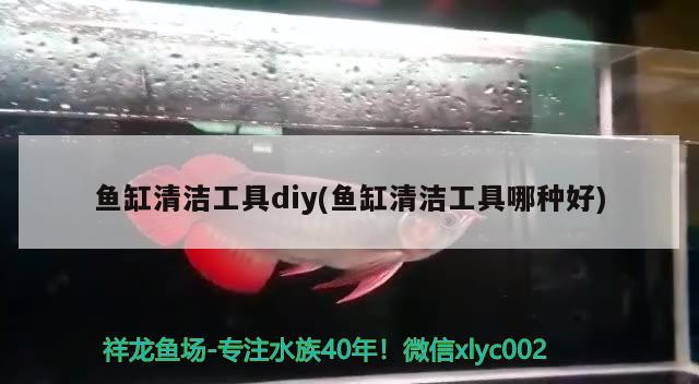 鱼缸清洁工具diy(鱼缸清洁工具哪种好)