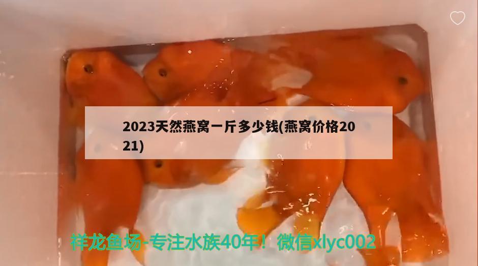 2023天然燕窝一斤多少钱(燕窝价格2021)