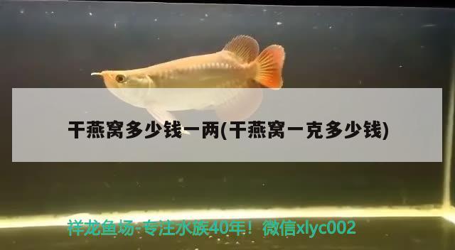 干燕窝多少钱一两(干燕窝一克多少钱) 马来西亚燕窝